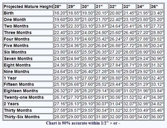 Thoroughbred Letter Age Chart