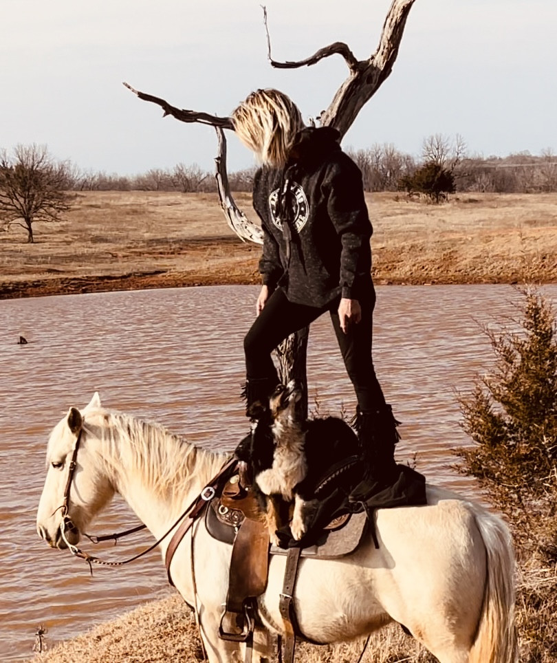 Horse for sale in Meeker