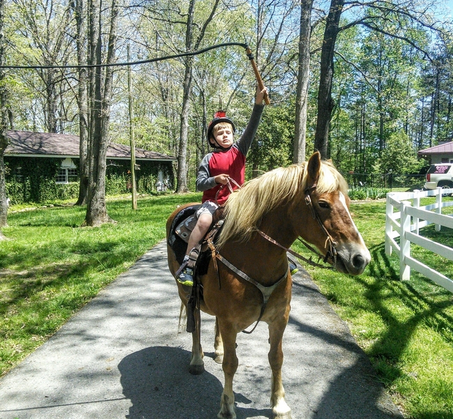 CONFIDENCE BUILDER!!!! GREAT KIDS\BEGINNER HORSE