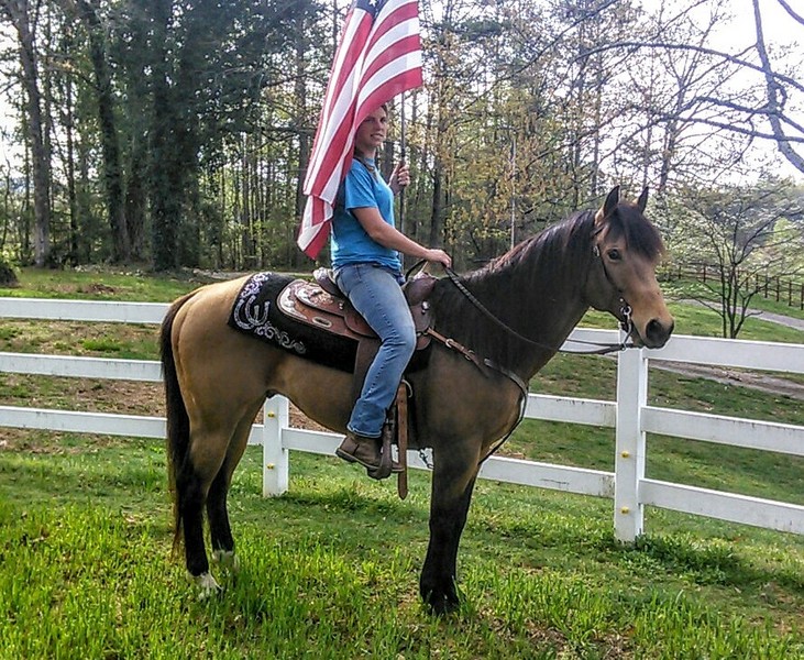 Dream Horse Streaming Vf Dream Horse Usa : DREAM HORSE ALERT!!! For Sale in Union, Georgia