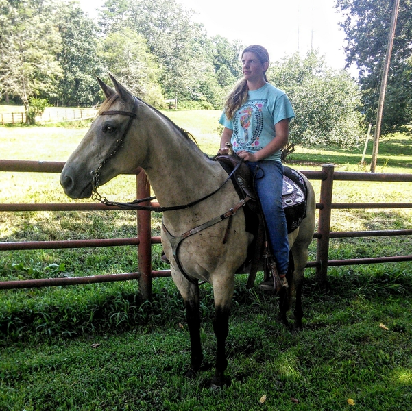 Looking for a great horse,TA-DA here he is.