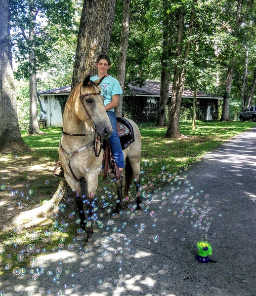 Looking for a great horse,TA-DA here he is.
