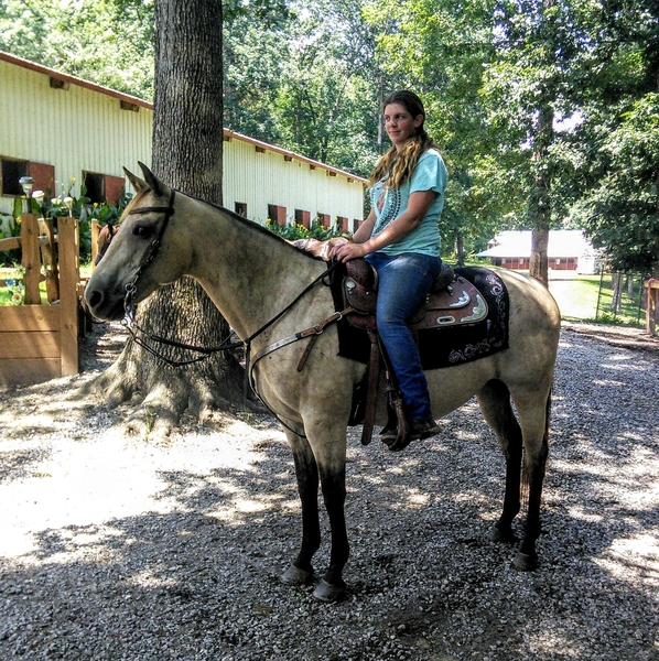 Looking for a great horse,TA-DA here he is.
