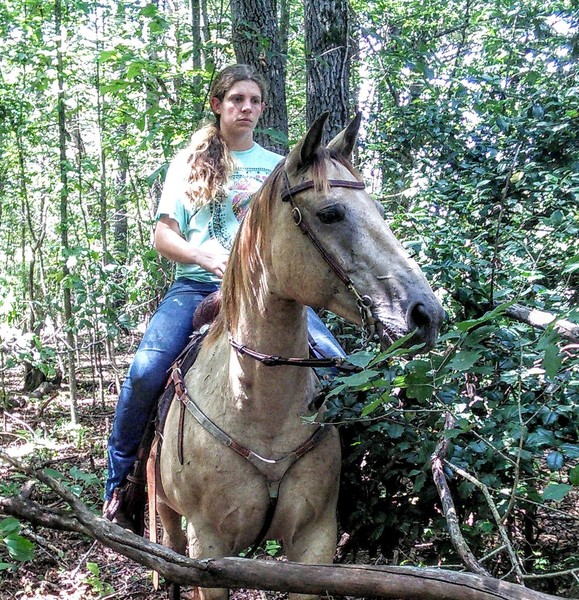 Looking for a great horse,TA-DA here he is.