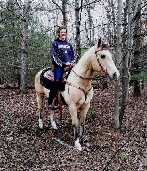 pic Buckskin Horse Price buckskin horses quarter horses for sale