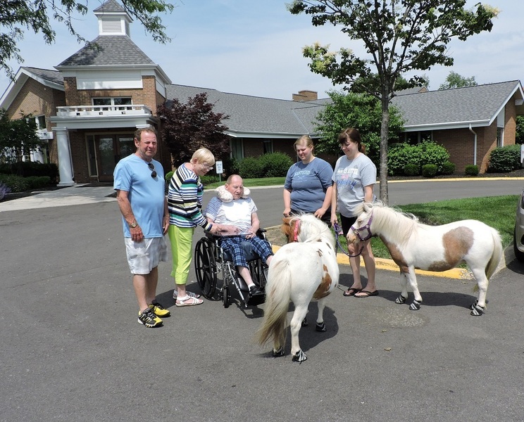 Therapy Horse & Trick Training Clinics!