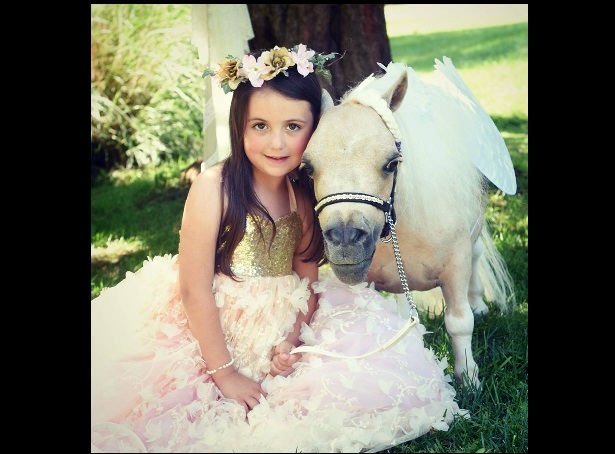 Helpful Hints To Therapy Horse Visits