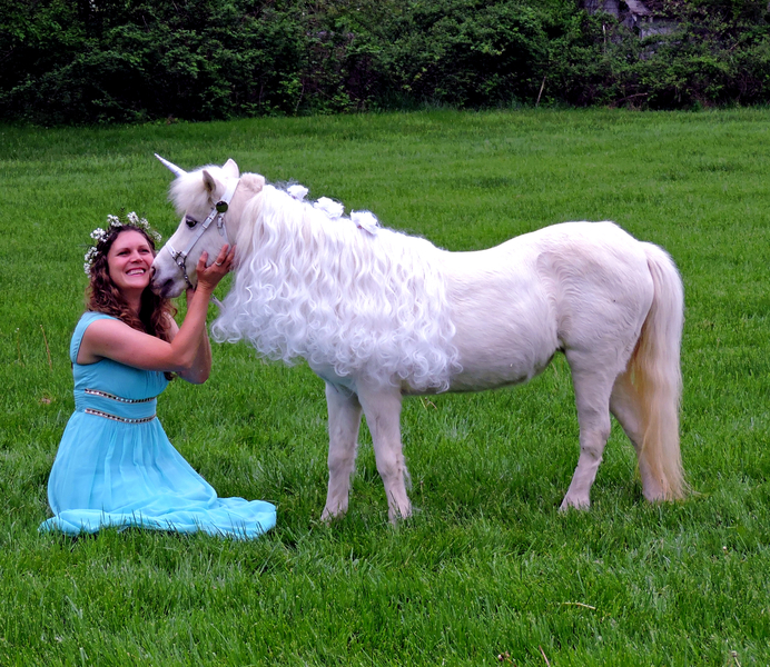 Miniature Unicorns for Therapy &amp; Photo Sessions!