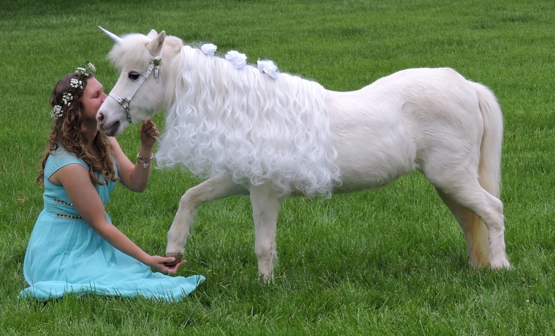 Miniature Unicorns for Therapy &amp; Photo Sessions!