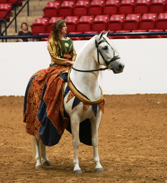 Saltador ORO, Horse of the Year at Stud