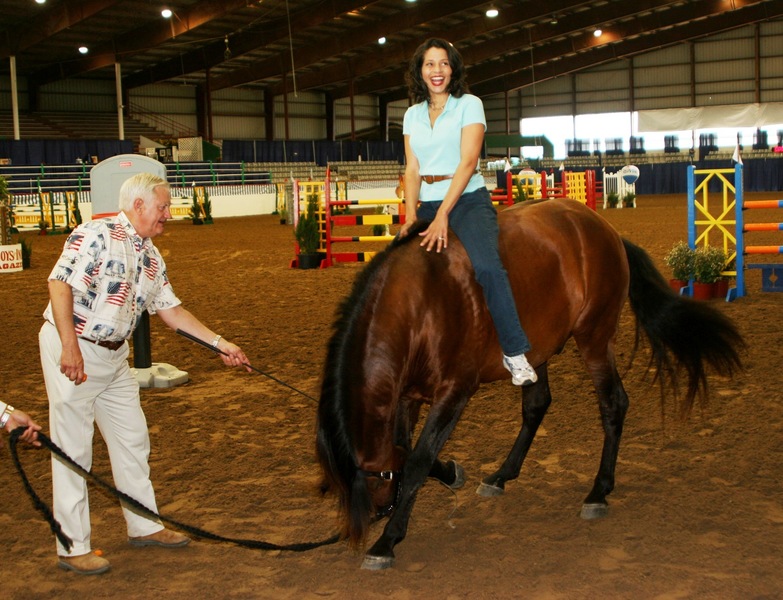 5 times National Champion Bay (died in 2022 at age 25; info left in place for clients)