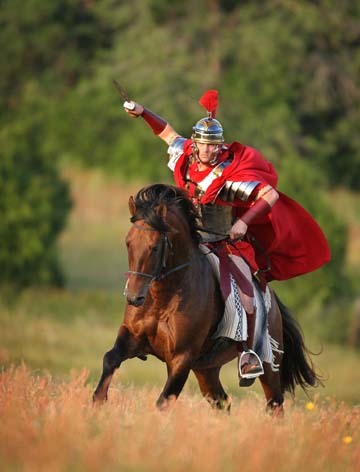 5 times National Champion Bay (died in 2022 at age 25; info left in place for clients)