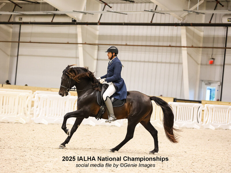 At stud, 9 times Nat'l Champ Black Bay stallion