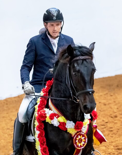 At stud, 9 times Nat'l Champ Black Bay stallion