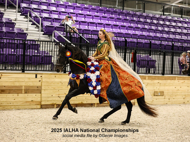 At stud, 9 times Nat'l Champ Black Bay stallion