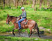 WELL TRAINED LINEBACK DUN JOHN MULE, SIT DOWN TURN AROUND, SLIDE STOP, RESPONSIVE AND FUN 