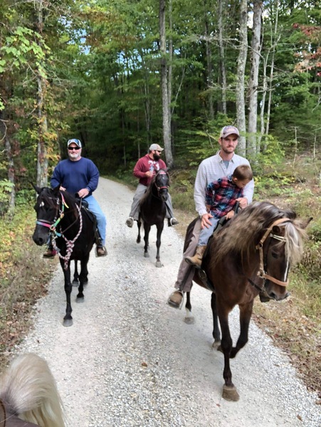 Easy To Ride Experienced Family Trail Horse 