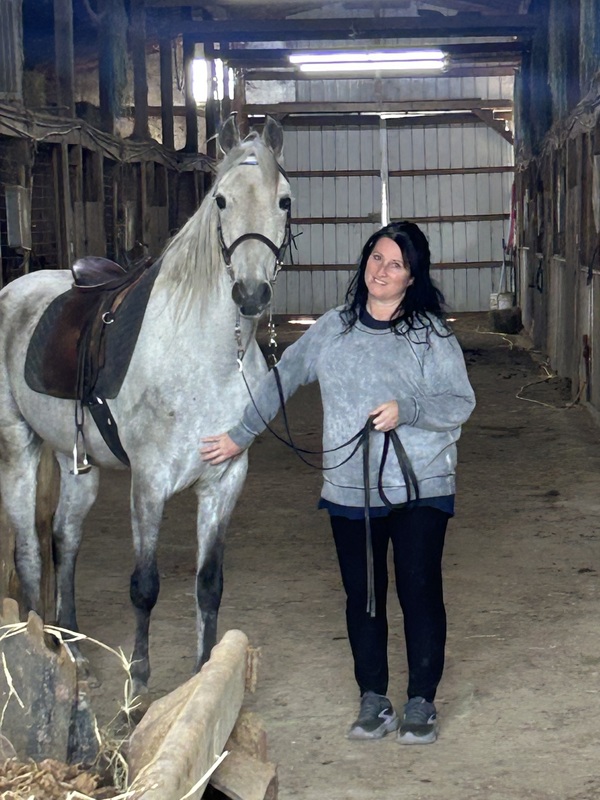 15.2 Flashy Show/Trail Horse