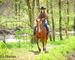 FINISHED, SEASONED, SOLID, EXPERIENCED SORREL RANCH GELDING, ROPES, WORKS CATTLE, SORT, PEN