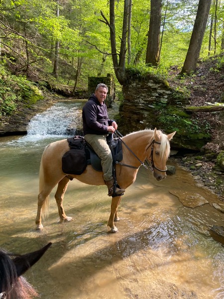 16H Novice Safe Trail Horse Deluxe!