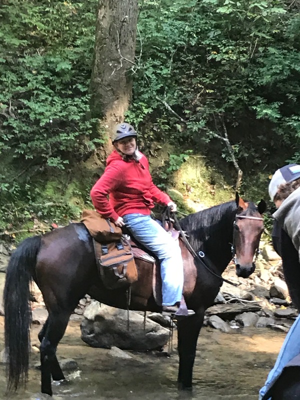 Beautiful Easy To Ride Trail Horse Deluxe!! For Sale in Jessamine
