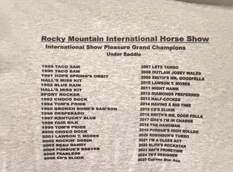 Well Bred Stallion/Show Prospect!