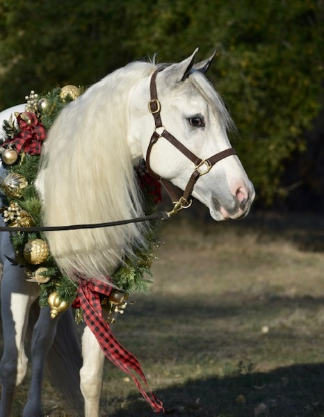 14.1 HAND SUPER CUTE 4 YEAR OLD PHAA