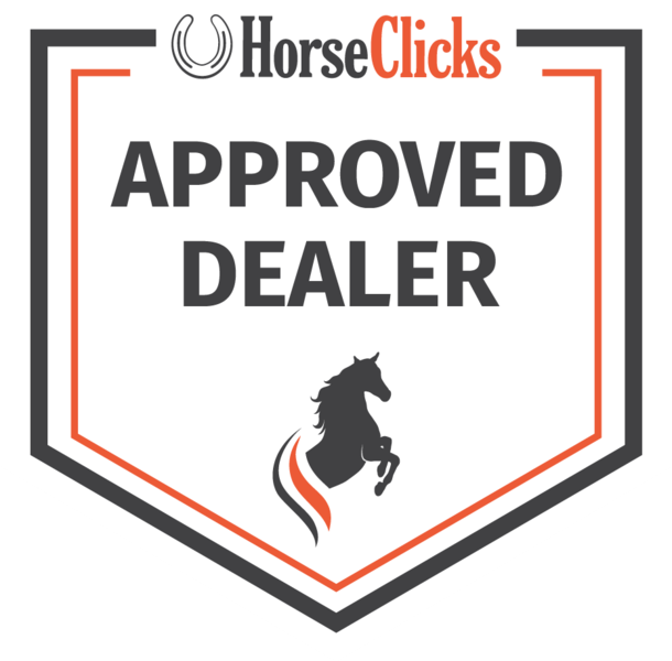 15 YEAR OLD 15.3 HAND RED DUNN GELDING