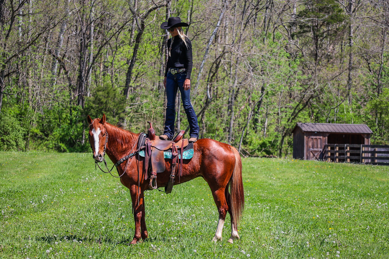 BEGINNER AND YOUTH FRIENDLY SORREL SEASONED RANCH HORSE, TEAM ROPES, TRAIL RIDES, EXTRA GENTLE 