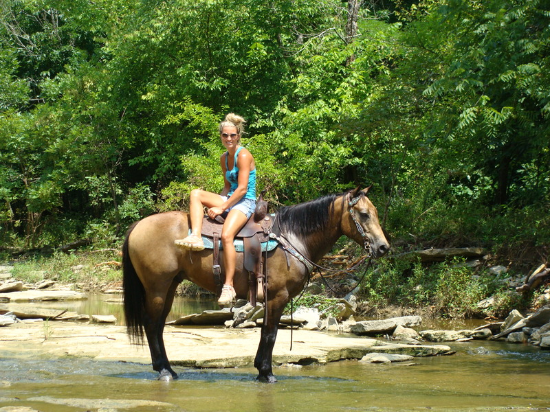 FINISHED RANCH HORSE, BUCKSKIN, VERY GENTLE, FUN TO RIDE For Sale in Fleming, Kentucky