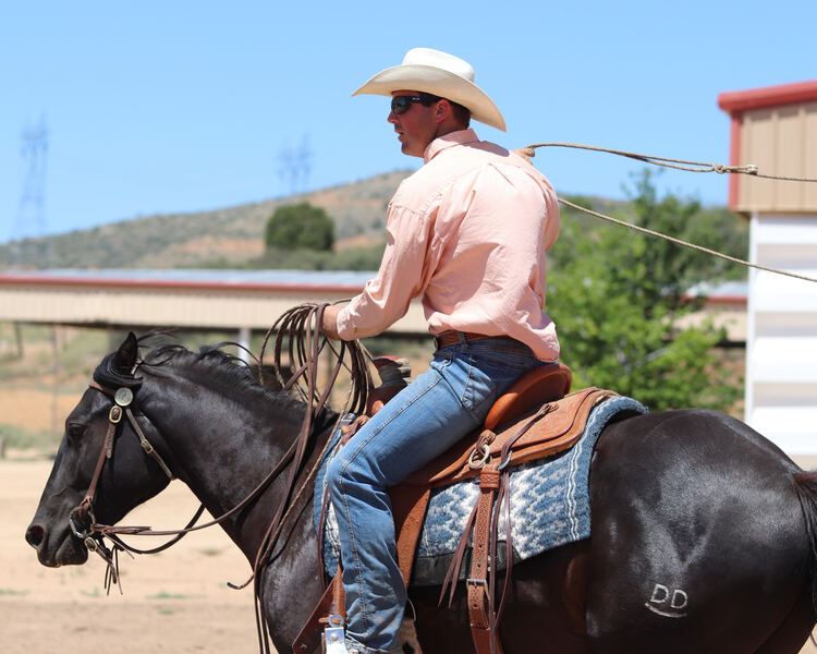 Gorgeous, Sweet and Broke 3 Year Old AQHA Black Mare