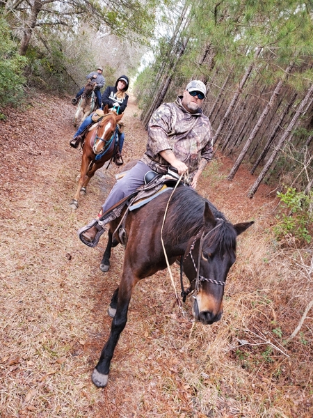 Morgan Cross Drives and Rides