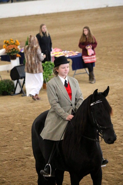 Flashy Well Gaited Trail/Show/Parade Horse