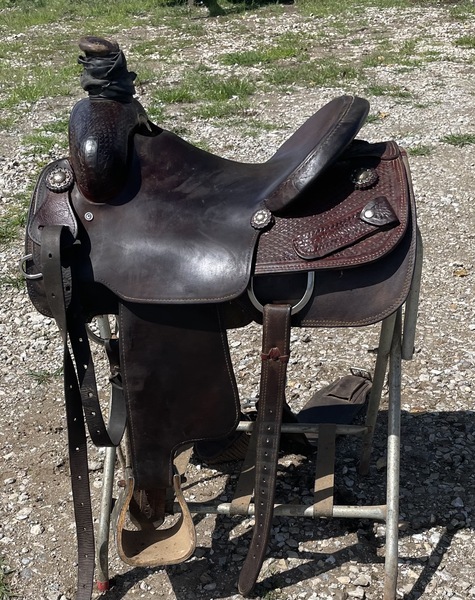   14.5  inch infinity roping saddle   