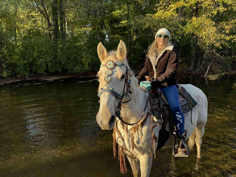 16H Bombproof Trail Horse 