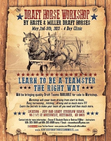 Draft Horse Workshop