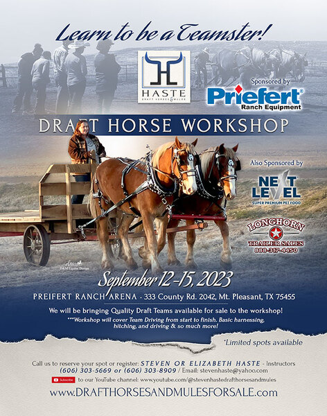 Draft Horse Clinic in Mount Pleasant Texas