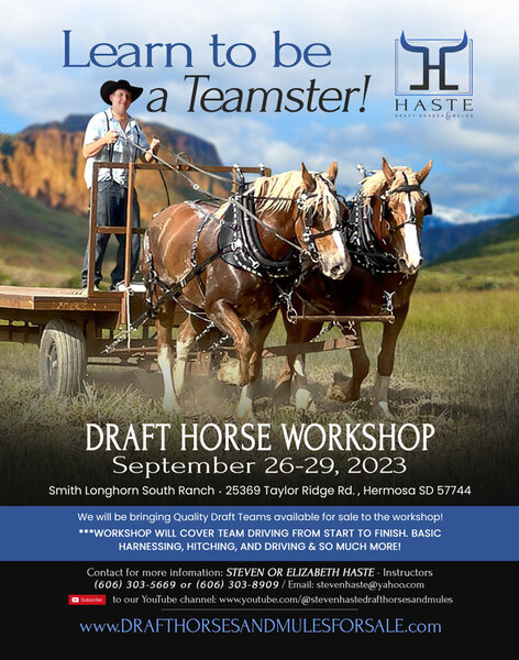 Draft Horse Clinic in Hermosa SD 