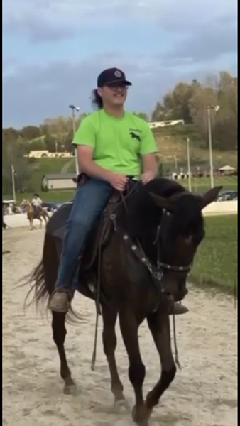 16 Hand Easy To Ride Family Horse 