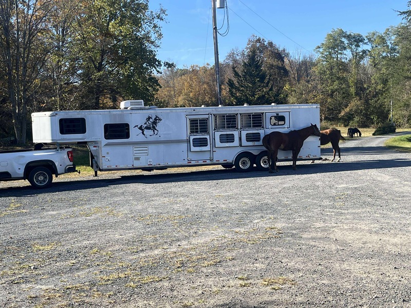 2003 Sundowner 4 Horse W/LQ