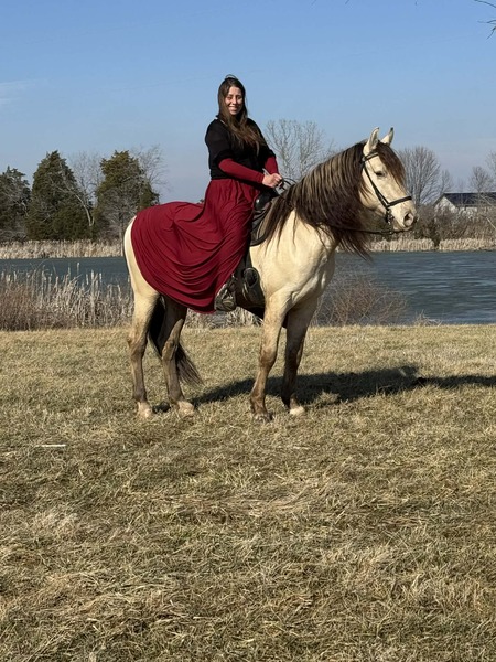 Stunning Smooth Gaited Dun Trail Horse