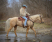 REAL BROKE, REAL SEASONED, SOLID FINISHED RANCH HORSE, ROPES, TRAIL RIDES, EXPERIENCED