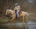 REAL BROKE, REAL SEASONED, SOLID FINISHED RANCH HORSE, ROPES, TRAIL RIDES, EXPERIENCED