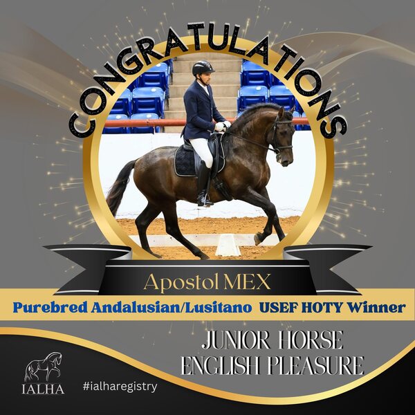 Apostol MEX, 4th level dressage, 6X National Champion 3rd Level Dressage