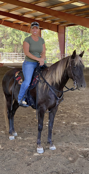 Drop Dead Gorgeous Well Gaited Safe Trail Horse