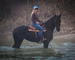 WELL BROKE FANCY TRAVELING BLACK FRIESIAN SPORT HORSE MARE, RIDES AND DRIVES, FUN WITH LOTS OF ACTION