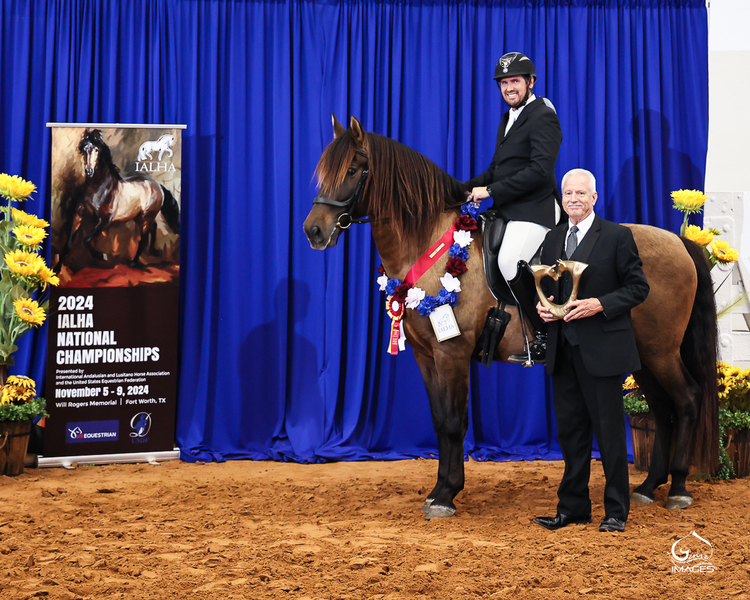 Proven ANCCE Approved Mare