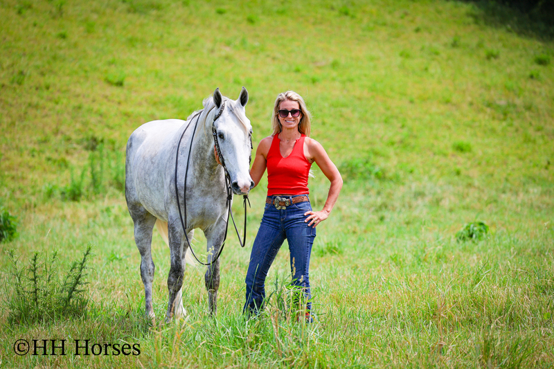 BIG HANDSOME GENTLE PERCHERON QUARTER HORSE CROSSBRED GELDING, RANCH WORK, TRAIL RIDE, SHOW