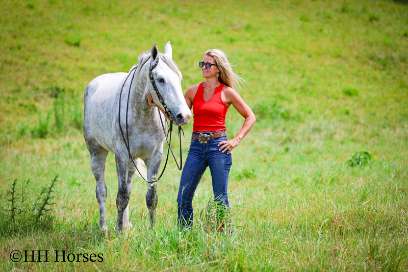 BIG HANDSOME GENTLE PERCHERON QUARTER HORSE CROSSBRED GELDING, RANCH WORK, TRAIL RIDE, SHOW