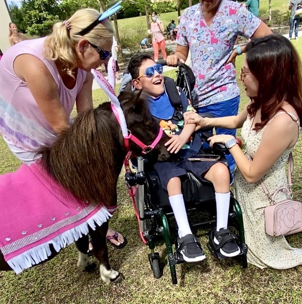 #1 Award Winning Therapy Trained Miniature Horses  